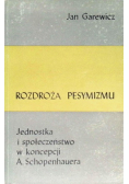 Rozdroża pesymizmu