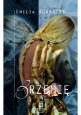 Brzemię