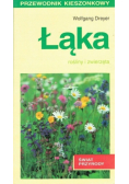 Łąka Rośliny i zwierzęta