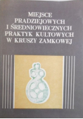 Miejsce pradziejowych i średniowiecznych praktyk kultowych w Kruszy Zamkowej