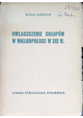 Uwłaszczenie chłopów w Wielkopolsce w XIX w.