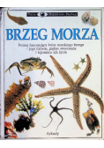 Patrzę Podziwiam Poznaję Brzeg Morza