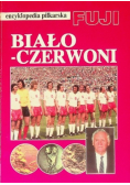 Encyklopedia piłkarska Fuji rocznik 94-95