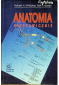 Anatomia błyskawicznie