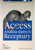 Access analiza danych Receptury