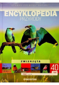 Encyklopedia przyrody Tom 40 Zwierzęta Ptaki Ostoje