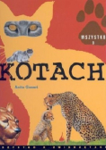 Wszystko o kotach