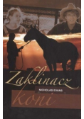 Zaklinacz koni