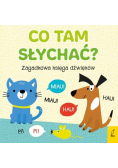 Co tam słychać
