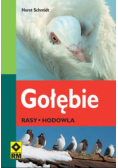 Gołębie Rasy hodowla
