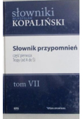 Słownik przypomnień Tom VII