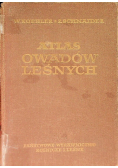 Atlas owadów leśnych