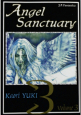 Angel Sanctuary Volume 3
