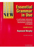 Essential grammar in Use