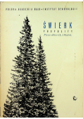 Świerk pospolity