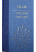 Stracone złudzenie