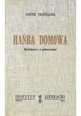 Hańba domowa. Rozmowy z pisarzami