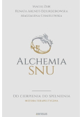 Alchemia snu. Od cierpienia do spełnienia