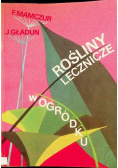 Rośliny lecznicze w ogródku
