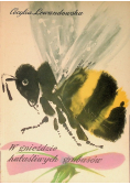 W gnieździe hałaśliwych grubasów
