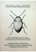 Chrząszcze coleoptera ojcowskiego parku narodowego i terenów ościennych
