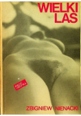 Wielki las