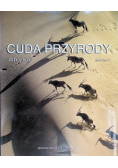 Cuda przyrody Afryka