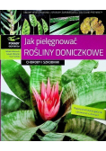 Jak pielęgnować rośliny doniczkowe