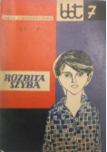 Rozbita szyba