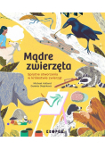 Mądre zwierzęta