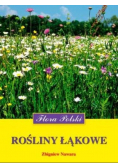 Rośliny łąkowe. Flora Polski
