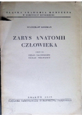 Zarys anatomii człowieka Część 3