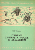Drobne zwierzęta wodne w akwarium