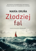 Złodziej fal