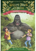 Magiczny domek na drzewie. Dzień dobry, goryle