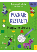 Przedszkolnik malucha Poznaję kształty Magiczne stwory