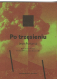 Po trzęsieniu