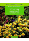 Rośliny cebulowe