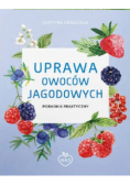 Uprawa owoców jagodowych