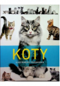 Koty Ilustrowany przewodnik