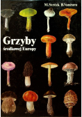 Grzyby środkowej Europy