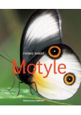 Motyle