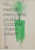 Metody intensywnej produkcji sadzonek drzew leśnych