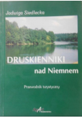 Druskienniki nad Niemnem