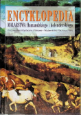 Encyklopedia malarstwa flamandzkiego i holenderskiego