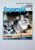 Szynszyle