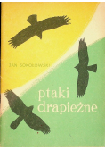 Ptaki drapieżne
