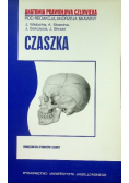 Czaszka