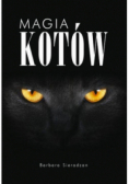 Magia kotów