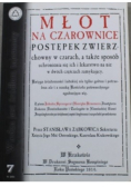 Młot na czarownice